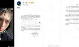 陈飞宇爆料后续视频,揭秘事件真相与幕后故事